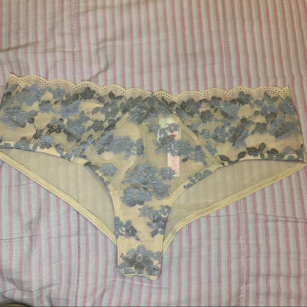 Victoria’s Secret Pink Mesh & Lace Cheeky